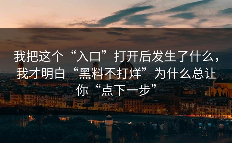 我把这个“入口”打开后发生了什么，我才明白“黑料不打烊”为什么总让你“点下一步”