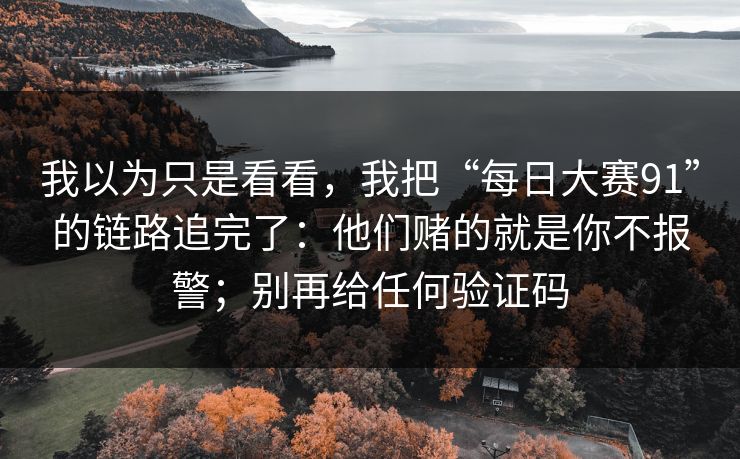我以为只是看看，我把“每日大赛91”的链路追完了：他们赌的就是你不报警；别再给任何验证码