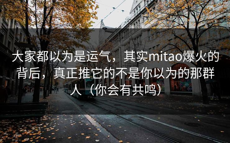 大家都以为是运气，其实mitao爆火的背后，真正推它的不是你以为的那群人（你会有共鸣）