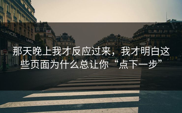那天晚上我才反应过来，我才明白这些页面为什么总让你“点下一步”