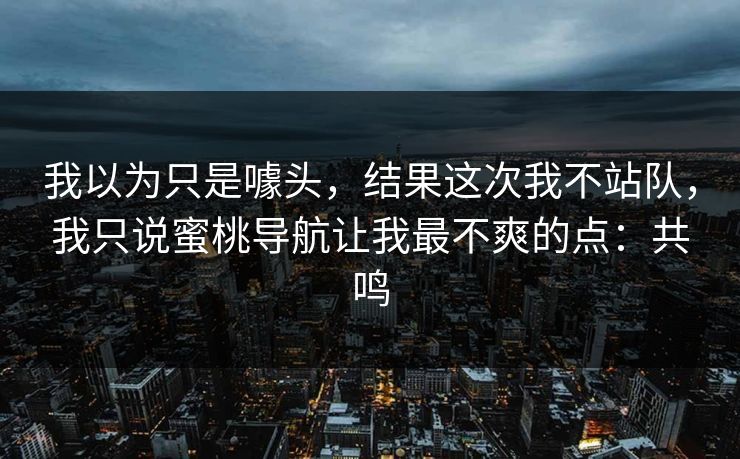 我以为只是噱头，结果这次我不站队，我只说蜜桃导航让我最不爽的点：共鸣